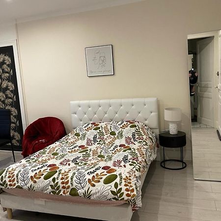Studio Meuble Et Lumineux 20M2 Leilighet Vittel Eksteriør bilde